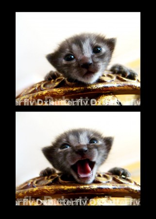 Hehe jake okaaale ma :) *cute*