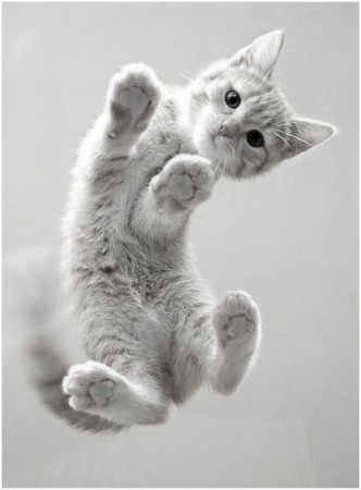 Ciiiica mica :)